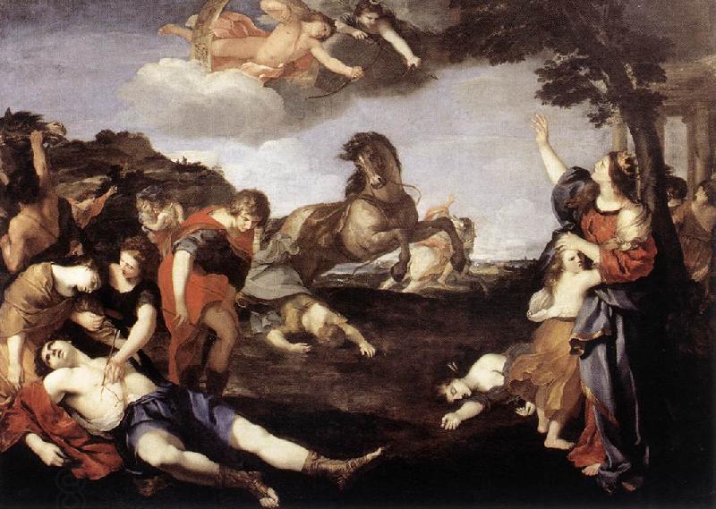 CAMASSEI, Andrea The Massacre of the Niobids dfg oil painting picture